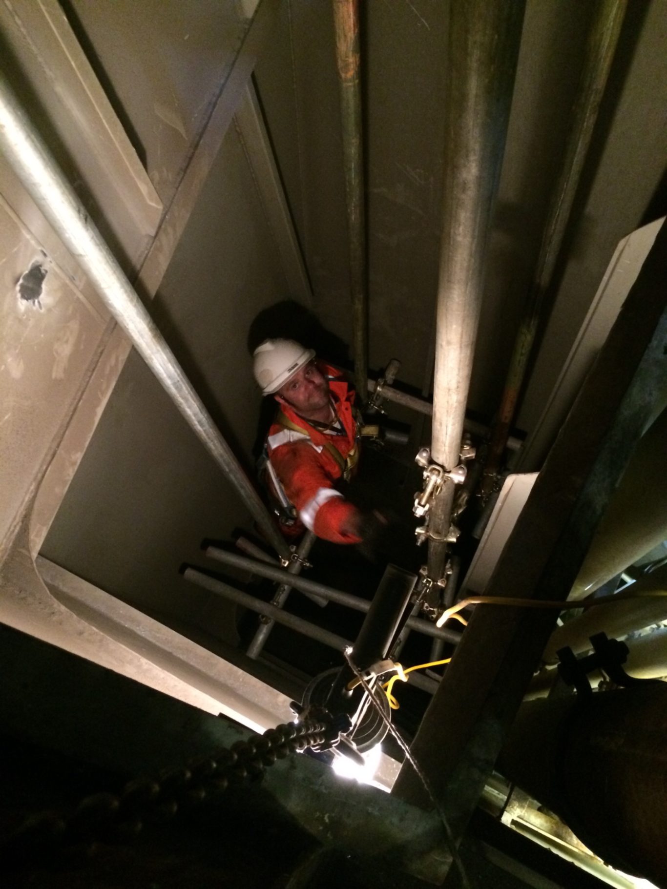 "Independence of the Seas", Bespoke Hanging Scaffold.